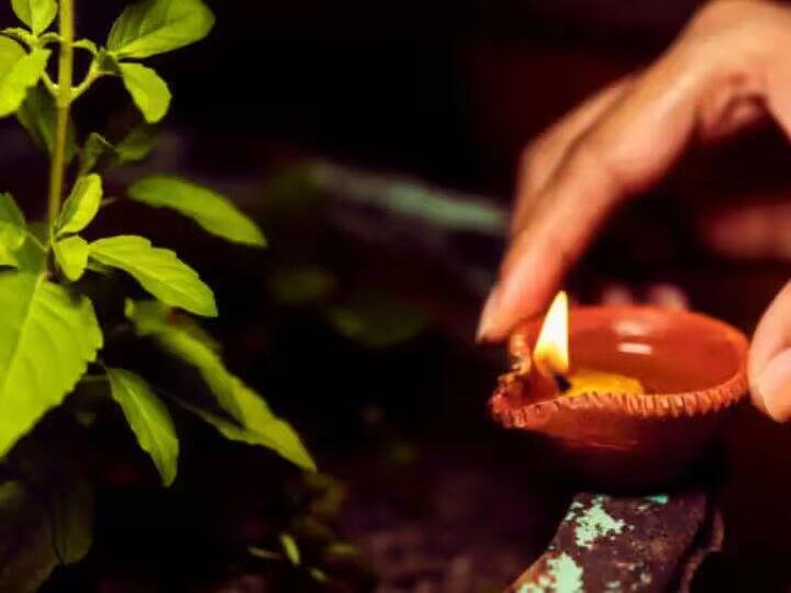 પિતૃ પક્ષ દરમિયાન સાંજના સમયે પીપળાના વૃક્ષની પૂજા કરો, આ દરમિયાન સરસવના તેલનો દીવો લગાવીને તેમાં કાળા તલ નાખો. પૂર્વજોનું સ્મરણ કરો, પિતૃ સૂક્તનો પાઠ કરો. આનાથી પરિવારને સુખ સમૃદ્ધિનો આશીર્વાદ મળે છે.
