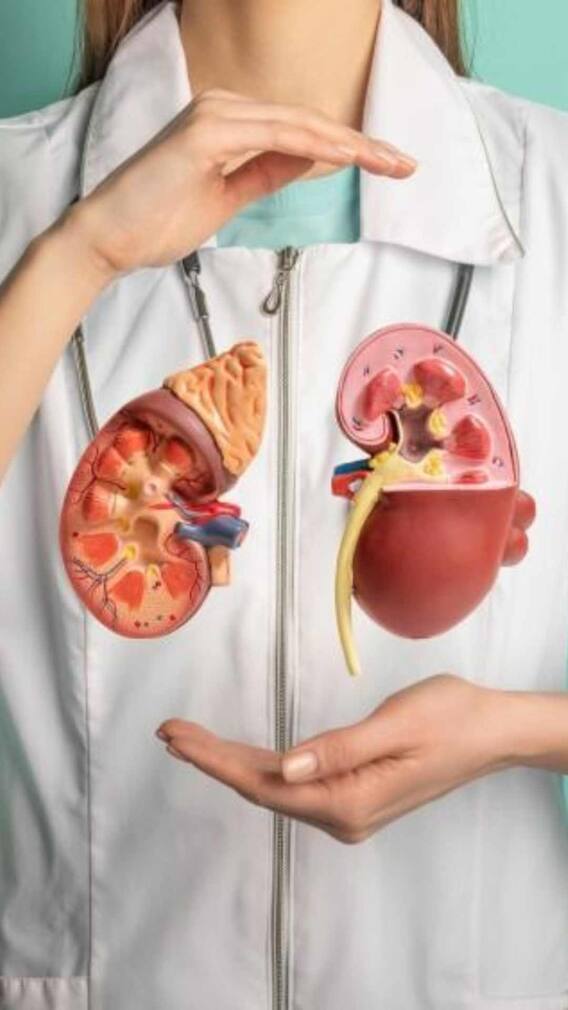 কিডনি সুস্থ রাখতে ম্যাজিকের মতো কাজ করে এই ৫ খাবার