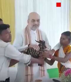 Chhattisgarh के नक्सल हिंसा पीड़ितों से मिले गृहमंत्री अमित शाह | #shorts