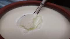 Tips for Making Curd:வீட்டிலேயே கெட்டித் தயிர் தயார் செய்ய சில டிப்ஸ்!