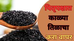 Pitru Paksha 2024: पितृपक्षात काळ्या तिळाचा वापर करून 'या' 4 गोष्टी करा; पुढच्या 7 पिढ्यांमध्ये सुख नांदेल