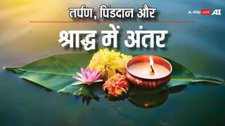 Pitru Paksha 2024: पिंडदान, श्राद्ध और तर्पण नहीं है एक, जान लीजिए तीनों में अंतर और विधि