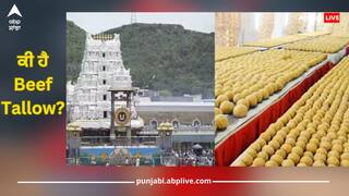 ਕੀ ਹੈ Beef Tallow? ਜਿਸ ਦੀ ਵਰਤੋਂ ਕੀਤੀ ਜਾ ਰਹੀ ਸੀ ਤਿਰੂਪਤੀ ਬਾਲਾਜੀ ਦੇ ਪ੍ਰਸ਼ਾਦ 'ਚ