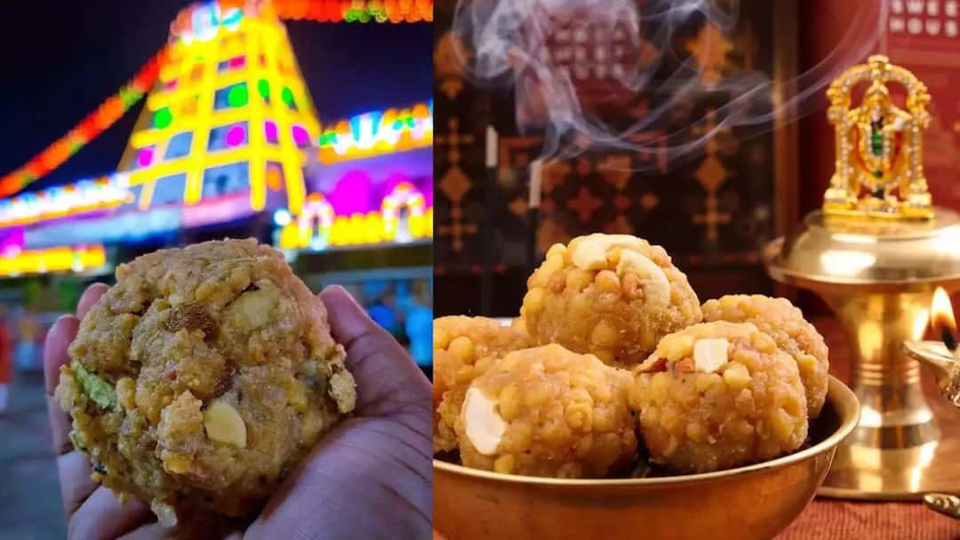 Tirupati Laddu Controversy : तिरुपती प्रसादाच्या लाडूत काय काय घातलं जातंय? प्राण्यांच्या चरबीनंतर आता आणखी एक तेल मिसळत असल्याचे समोर! CALF and NDDB has confirmed the presence of animal fat in the ghee used in the making of laddus offered as prasadam by the Tirumala Tirupati Devasthanams Tirupati Laddu Controversy : तिरुपती प्रसादाच्या लाडूत काय काय घातलं जातंय? प्राण्यांच्या चरबीनंतर आता आणखी एक तेल मिसळत असल्याचे समोर!