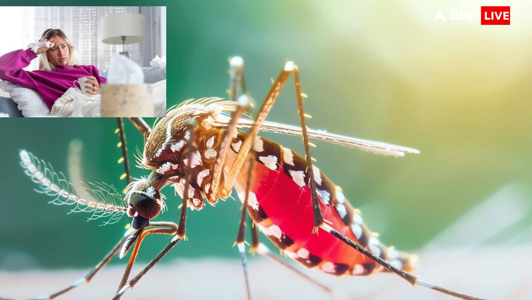 seasonal diseases like dengue viral fever typhoid increase know prevention and precautions Health Tips: टेंशन बढ़ा रहे वायरल फीवर, टाइफाइड और डेंगू...जानें कैसे बचें और बच्चों को कैसे बचाएं