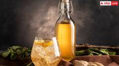 Health Tips: कब्ज की समस्याओं से हैं परेशान तो खाली पेट पीना शुरू कर दें कोम्बुचा