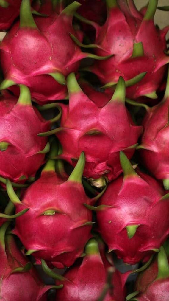 అందం, ఆరోగ్యం కావాలా? డ్రాగన్ ఫ్రూట్ ట్రై చేయండి!