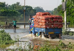 Flood Situation: জলে ডুবে জেরবার জীবন! মাঠের ফসল-ঘরবাড়ি হারিয়ে হাহাকার গ্রামে