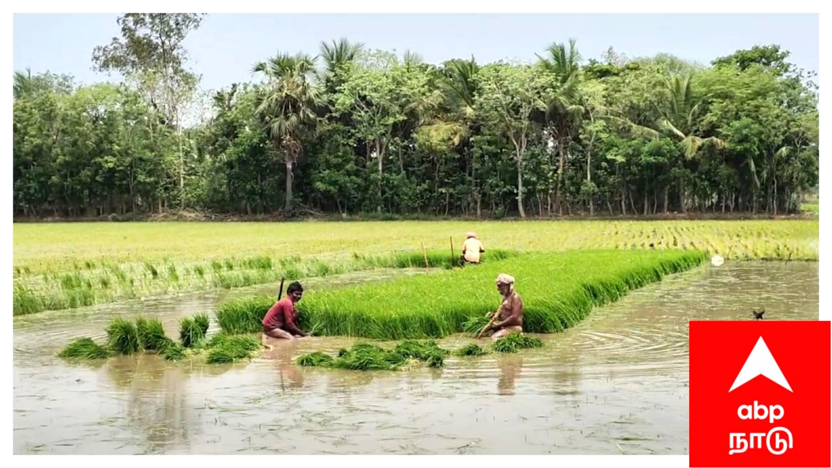 அபராதம் விதித்த அதிகாரிகள்: தற்கொலைக்கு முயன்ற ஊழியர் - நடந்தது என்ன?