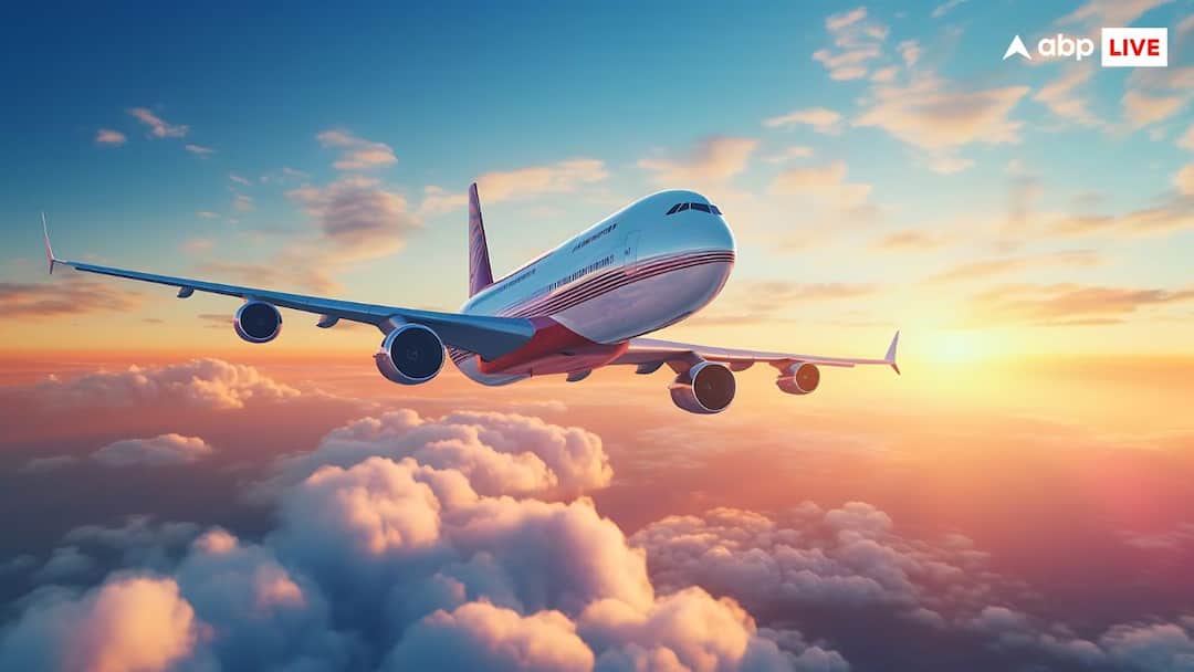 क्या एक पक्षी के टकराने से प्लेन में लग सकती है आग? ये रहा जवाब can a bird hit a plane and cause a fire know the answer क्या एक पक्षी के टकराने से प्लेन में लग सकती है आग? ये रहा जवाब