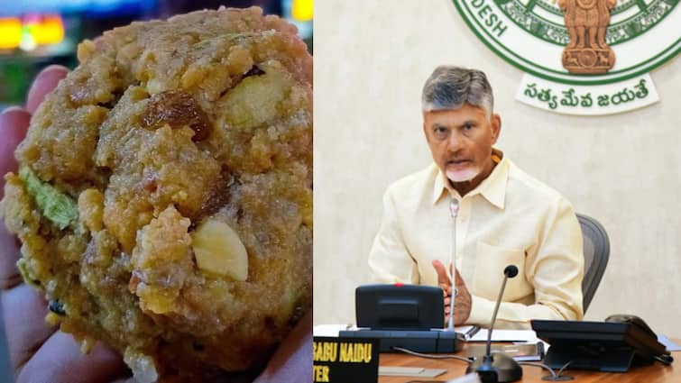 Andhra CM will soon announce cleaning solution in Tirupati. திருப்பதியில் சுத்தப்படுத்தும் பரிகாரம் விரைவில் அறிவிக்கிறார் ஆந்திரா சி.எம்.
