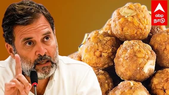 Rahul on laddu | லட்டில் பன்றி கொழுப்பா? கொதித்தெழுந்த ராகுல்! ஜெகன், நாயுடுவுக்கு எச்சரிக்கை!