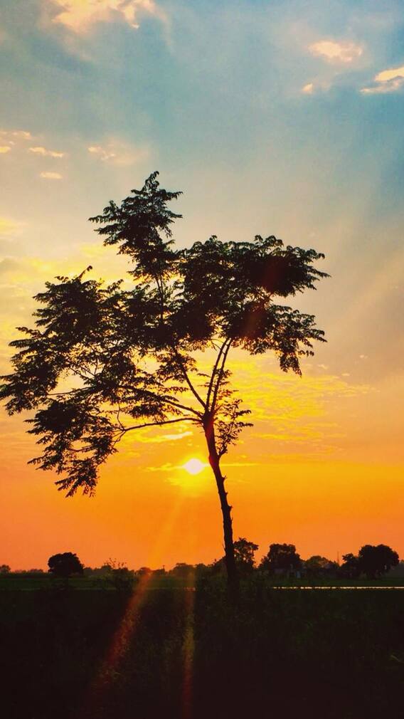 ਪੰਜਾਬ ਦੇ ਮੌਸਮ ਨੇ ਵਧਾਈ ਚਿੰਤਾ, ਹਾਲੇ ਨਹੀਂ ਪਵੇਗਾ ਮੀਂਹ, ਗਰਮੀ ਨੇ ਫੜਿਆ ਜ਼ੋਰ