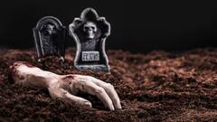 सजा-ए-मौत से पहले कैदी ने आखिरी इच्छा में मांगा सिर्फ एक जैतून, वजह जानकर खिसक जाएगी पैरों तले जमीन