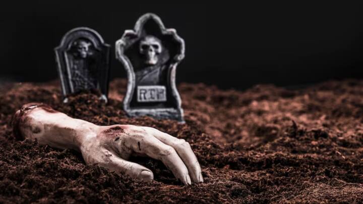 हालांकि ऐसा वास्तव में भी होता है, जहां किसी भी जेल में मौत की सजा देने से पहले कैदी से उसकी आखिरी इच्छा पूछी जाती है.