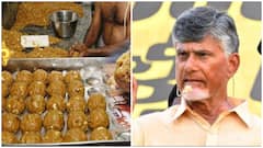 అన్ని దేవాలయాల్లో తనిఖీలు-రివర్స్ టెండరింగ్‌తో సర్వనాశనం చేశారు: చంద్రబాబు