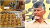 Chandra Babu: అన్ని దేవాలయాల్లో తనిఖీలు-రివర్స్ టెండరింగ్‌తో సర్వనాశనం చేశారు: చంద్రబాబు
