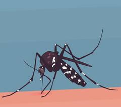 Dengue In India: ਭਾਰਤ ਵਿੱਚ ਡੇਂਗੂ ਦੇ ਵਧਦੇ ਮਾਮਲਿਆਂ ਵਿੱਚ ਅਪਣਾਓ ਇਹਨਾਂ 5 ਸੈਫਟੀ ਗਾਈਡਲਾਈਨ