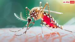 Dengue In India: भारत में डेंगू के बढ़ते मामलों के बीच अपनाएं ये 5 सेफ्टी गाइडलाइन्स