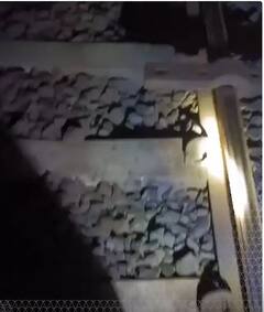 Gujarat News: रेलवे ट्रैक से फिश प्लेट और चाबियां खोल ट्रेन पलटाने की साजिश! | ABP Shorts