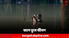 Flood Situation: জলে ডুবে জেরবার জীবন! মাঠের ফসল-ঘরবাড়ি হারিয়ে হাহাকার গ্রামে