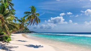 Hidden Coastal Gems: Discovering India’s Unique And Lesser-Known Beaches