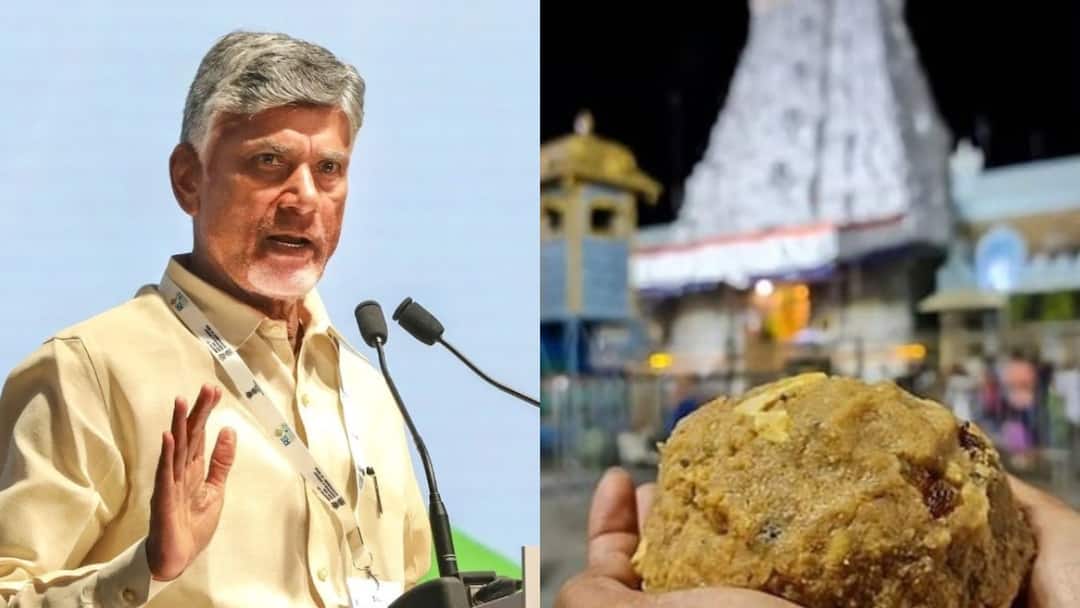Tirumala Laddu: లడ్డూ వివాదంతో చంద్రబాబు కీలక నిర్ణయం- పోటు నుంచి నెయ్యి ఉంచే ప్రదేశాల వరకు సంప్రోక్షణ Tirumala Laddu Issue Andhra Pradesh CM Chandra Babu ordered to clean Srivari temple Tirumala Laddu: లడ్డూ వివాదంతో చంద్రబాబు కీలక నిర్ణయం- పోటు నుంచి నెయ్యి ఉంచే ప్రదేశాల వరకు సంప్రోక్షణ