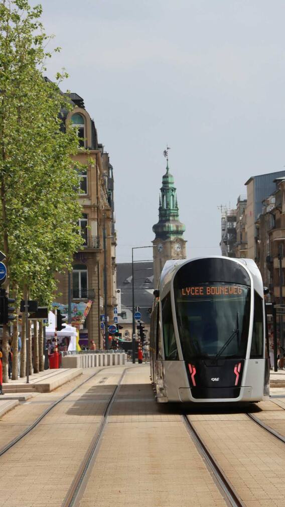 दुनिया के इस देश में कहीं भी जाने पर नहीं लगता किराया