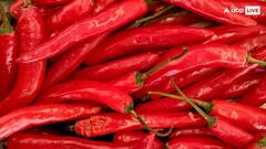 तीखा खाने वालों के भी कान से निकल जाए धुआं, ये है देश की सबसे तीखी मिर्च