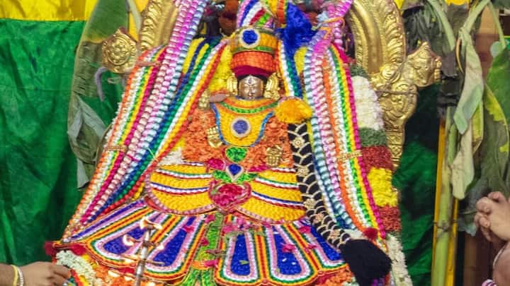 न केवल धन और सोने के आभूषण का चढ़ावा तिरुपति बालाजी को चढ़ता है बल्कि ट्रस्ट के अंतर्गत वन भूमि और हजारों एकड़ संपत्तियां भी है. ट्रस्ट के अंतर्गत 6000 एकड़ वन भूमि, 75 स्थान पर 7636 एकड़ अचल संपत्ति. इसके अंतर्गत 1226 एकड़ खेती किसानी वाली भूमि और 6409 एकड़ गैर किसानी भूमि भी है. वहीं देश भर के अंदर कुल 71 ऐसे मंदिर हैं, जो इस ट्रस्ट के सहयोग से चल रहे हैं. कई संपत्तियां पट्टे पर चल रही है, जिसके जरिए चार करोड़ रुपए की सालाना कमाई हो जाती है. न केवल भूमि बल्कि 307 जगह विवाह स्थल भी बनाए गए हैं.