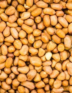 ਮੂੰਗਫਲੀ ਨੂੰ ਸਨੈਕ ਦੇ ਤੌਰ 'ਤੇ ਖਾਣ ਨਾਲ ਸਿਹਤ ਮਿਲਦੇ ਗਜ਼ਬ ਫਾਇਦੇ, ਭਾਰ ਘਟਾਉਣ ਤੋਂ ਲੈ ਕੇ ਅੱਖਾਂ ਤੱਕ ਮਿਲਦਾ ਲਾਭ