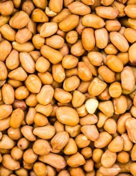 Peanuts ਪ੍ਰੋਟੀਨ ਅਤੇ ਫਾਈਬਰ ਨਾਲ ਭਰਪੂਰ ਹੁੰਦੀ ਹੈ। ਇਹ ਪੋਸ਼ਕ ਤੱਤ ਤੁਹਾਡੇ ਪੇਟ ਨੂੰ ਲੰਬੇ ਸਮੇਂ ਤੱਕ ਭਰੇ ਰੱਖਦੇ ਹਨ, ਜਿਸ ਨਾਲ ਤੁਹਾਨੂੰ ਵਾਰ-ਵਾਰ ਖਾਣ ਦੀ ਇੱਛਾ ਮਹਿਸੂਸ ਨਹੀਂ ਹੁੰਦੀ। ਇਹੀ ਕਾਰਨ ਹੈ ਕਿ ਭਾਰ ਘਟਾਉਣ ਦੇ ਵਿੱਚ ਇਹ ਮਦਦ ਕਰਦੀ ਹੈ।