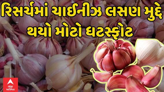 Rajkot| ચાઈનીઝ લસણ મુદ્દે રિસર્ચમાં થયો મોટો ઘટસ્ફોટ, જુઓ વીડિયોમાં