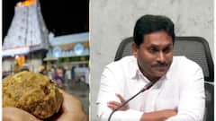 అబద్ధాలు చెప్పే చంద్రబాబును మీరు గట్టిగా తిట్టే కార్యక్రమం చేపట్టాలి - ప్రధానికి లేఖ రాసిన జగన్‌