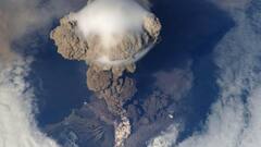 ये जीव रहता है ज्वालामुखी के अंदर, जानिए कैसे रहता है ये जीवित