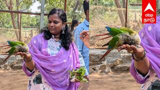 Auroville : ஆரோவில்லில் வனவிலங்கு கல்வி பூங்கா திறப்பு.. இதை தெரிஞ்சுகோங்க..