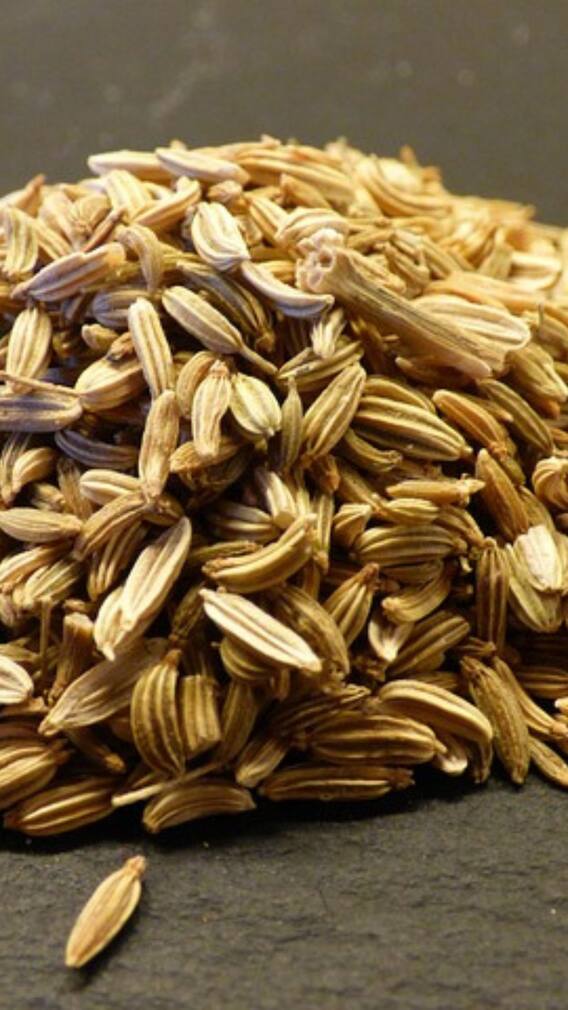 உணவு சாப்பிட்ட பிறகு, பெருஞ்சீரகம் சாப்பிடலாமா?