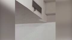 Snake Enters Classroom Through AC At Amity University Noida, Video Goes Viral