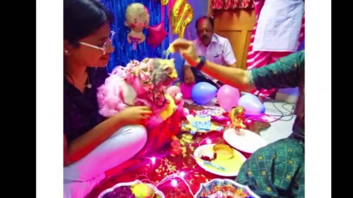 புஷிக்கு 11-ஆம் வகுப்பு மாணவி நடத்திய தடல் புடலான  வளைகாப்பு விழா - எங்கு தெரியுமா?