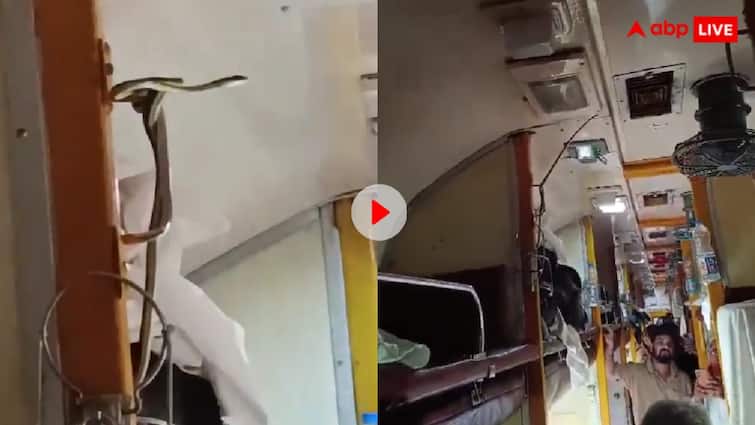 गरीब रथ ट्रेन के एसी कोच में निकला सांप, यूजर्स ने ले लिए एल्विश यादव के मजे chaos after snake found in Garib Rath Express train going from Jabalpur to Mumbai users comment on Elvish Yadav गरीब रथ ट्रेन के एसी कोच में निकला सांप, यूजर्स ने ले लिए एल्विश यादव के मजे