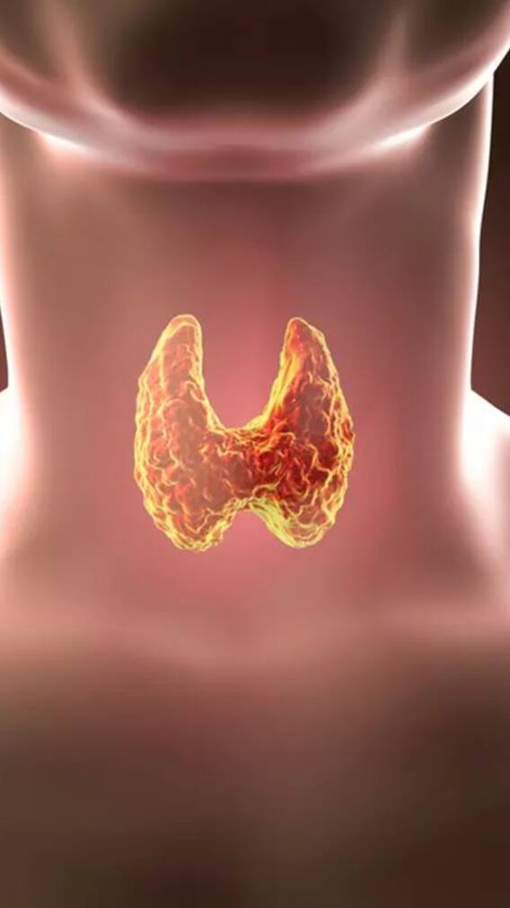 రెగ్యూలర్​గా ఈ టిప్స్ ఫాలో అయితే థైరాయిడ్ తగ్గించుకోవచ్చు