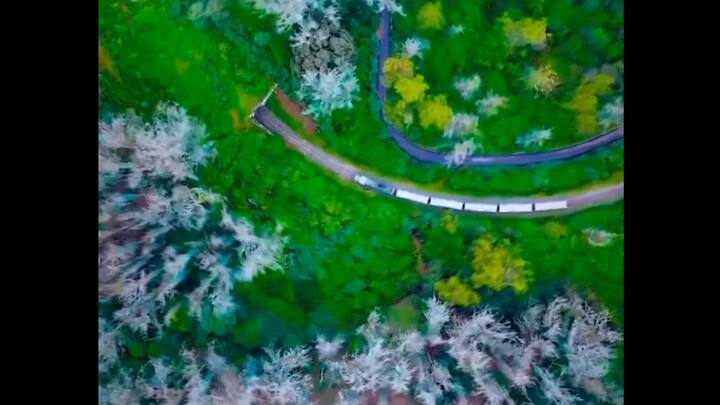 Nilgiri Mountain Railway. The Nilgiri Mountain Railway is a UNESCO World Heritage Site that offers you a chance to take an almost meditative train journey through the breathtaking range in Tamil Nadu. (Photo: X/@AshwiniVaishnaw)