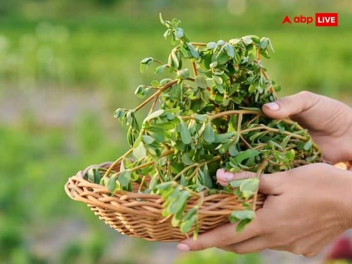 नोनी साग: जितिया पर्व पर नोनी साग का विशेष महत्व होता है. नहाय-खाय और पारण के दिन हरी-भूरी और लाल रंग की नोनी साग बनाई जाती है. लोग इसका साग बनाते हैं, कुछ इसके पकौड़े तैयार करते हैं तो कुछ नोनी साग को दाल के साथ बनाते हैं.