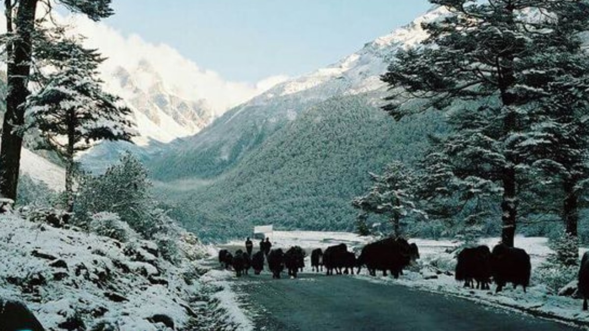 Winter Wonderlands: Breathtaking Destinations To Experience Magical Snowfall In India