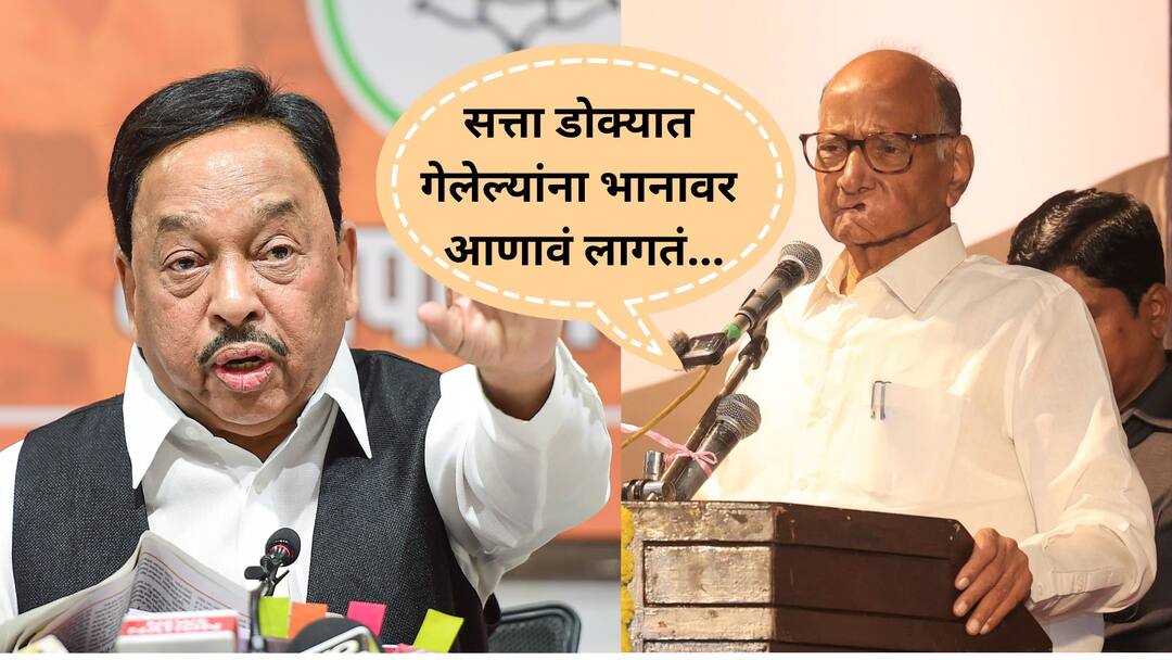 नितेश राणेंची भाषा शरद पवारांनाही खटकली; थेट प्रहार करत म्हणाले, Sharad Pawar Slams Narayan Rane and His Son Nitesh Rane Malvan Chhatrapati Shivaji Maharaj Statue Collapsed Marathi News नितेश राणेंची भाषा शरद पवारांनाही खटकली; थेट प्रहार करत म्हणाले,