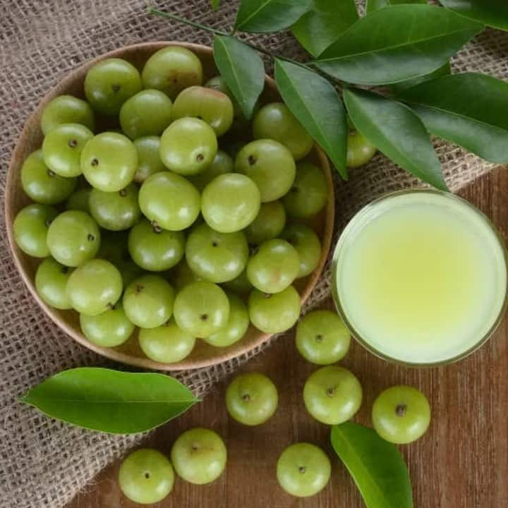 Fiber is found in Amla, which works to keep the functioning of the intestines correct and healthy. Along with fiber, Amla also has probiotic properties, which promote healthy bacteria in the intestine.