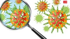 इन चीजों पर होते हैं टॉयलेट सीट से 400 गुना ज्यादा जर्म्स, जरूर करें सफाई