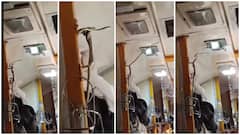 కదులుతున్న గరీభ్‌రథ్ ఎక్స్‌ప్రెస్‌లో పాము ప్రత్యక్షం- వణికిపోయిన ప్రయాణికులు