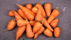 Carrot Eating Benefits: প্রতিদিন গাজর খেলে কী কী উপকার পাবেন? কীভাবে আপনার শরীর-স্বাস্থ্য ভাল থাকবে?