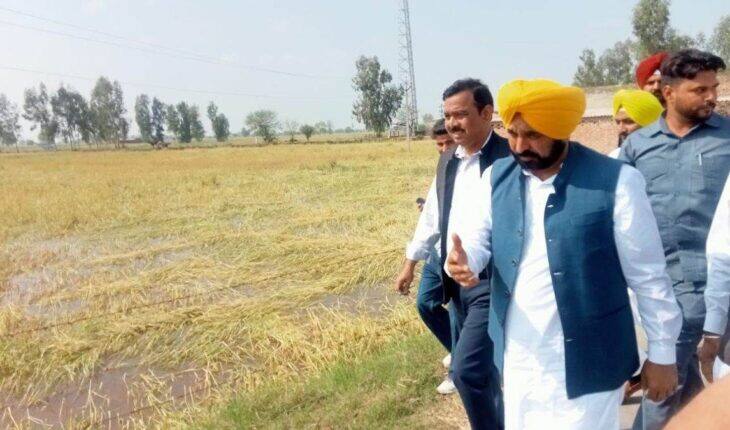 पराली जलाने वाले किसानों की जमीन की जानकारी में ‘पिंक एक्सेस’
